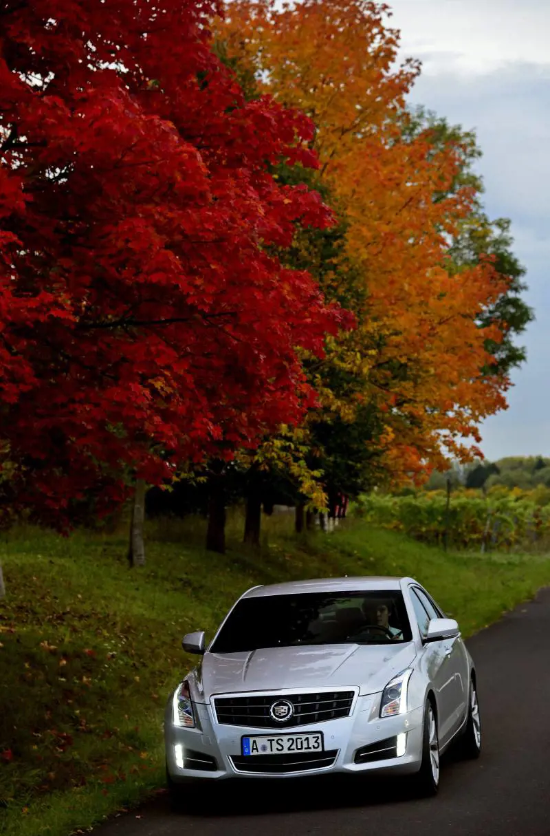 Immagine gallery