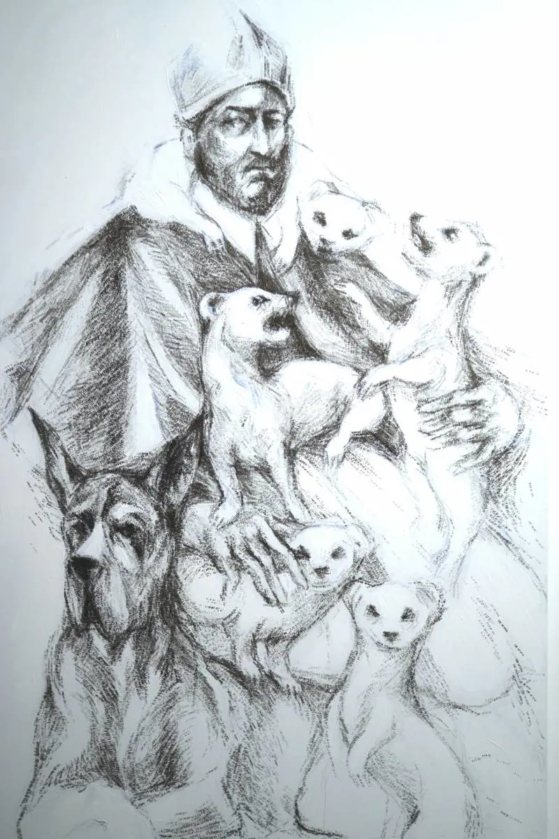 Immagine gallery