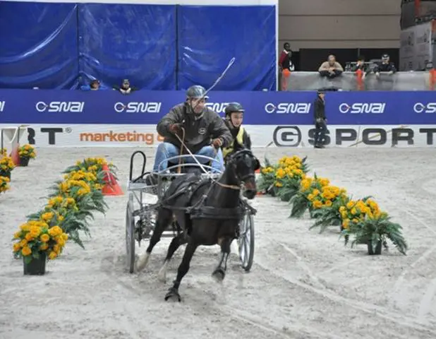 Riparte la FEI WORLD CUP DRIVING, l'emozionante circuito dei 10 migliori driver di tiro a 4 del mondo