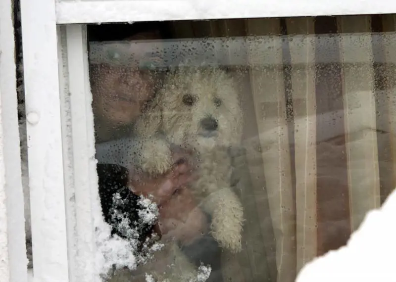 Maltempo, da giovedì neve al nord