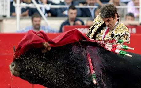 La federazione italiana per i diritti animali e il singolo anti corrida di Jacchetti junior
