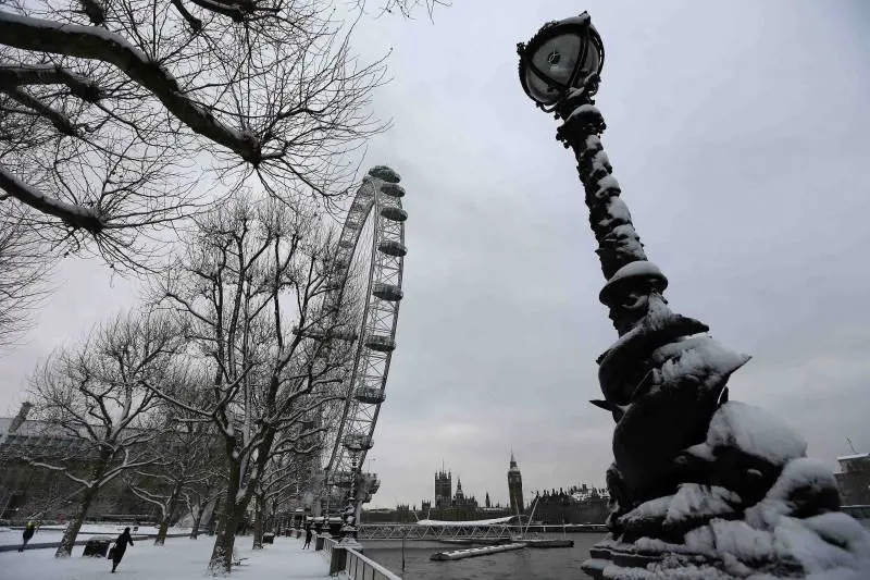 Immagine gallery
