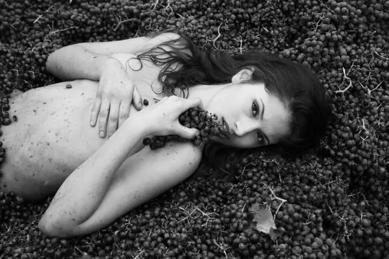 Immagine gallery