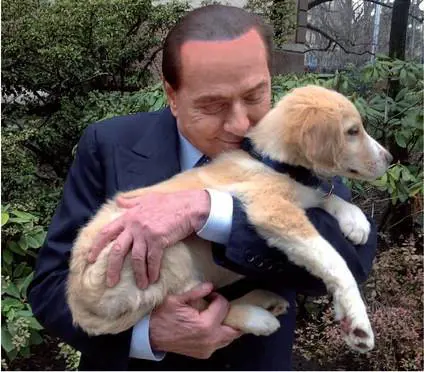 Il Cavaliere adotta la cagnolina Vittoria