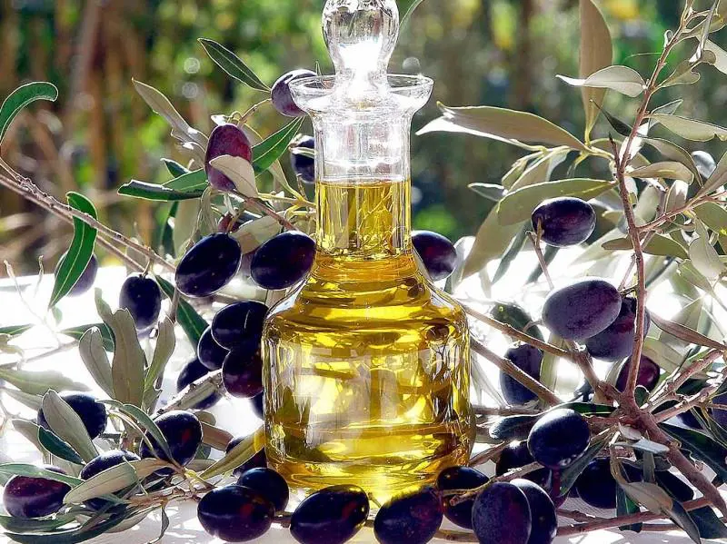 L'olio e le olive italiani protagonisti a TuttoFood 2013