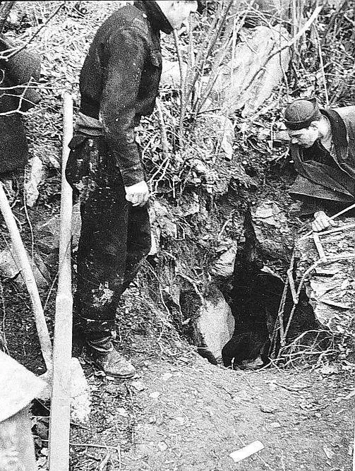 Così il Tg3 cancella il dramma delle foibe: proibito citare Tito