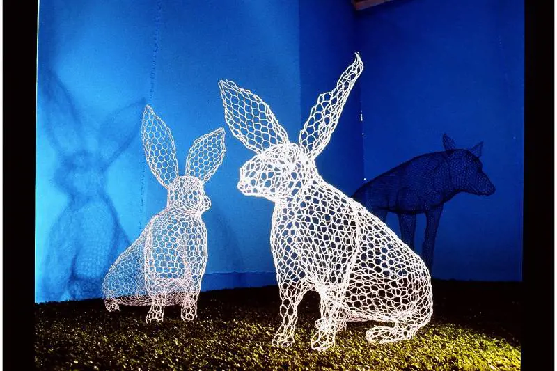 Gli animali magici di Benedetta