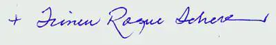 Immagine gallery