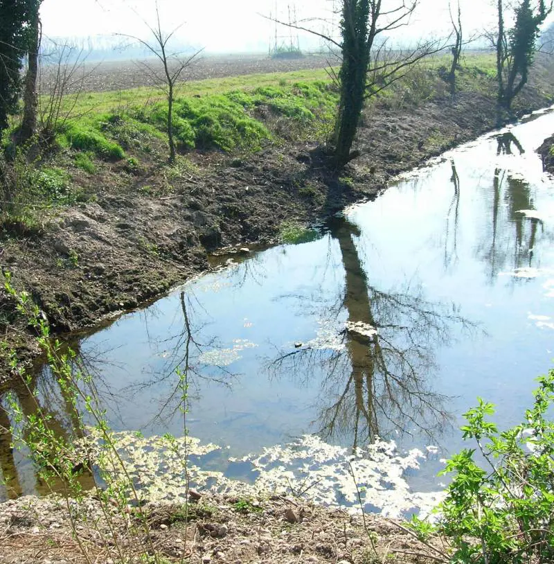 Gli antichi fontanili per bagnare Expo