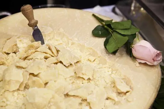 Parma, acceso l'inceneritore Grillo: "Parmigiano alla diossina" De Girolamo: "È incosciente"