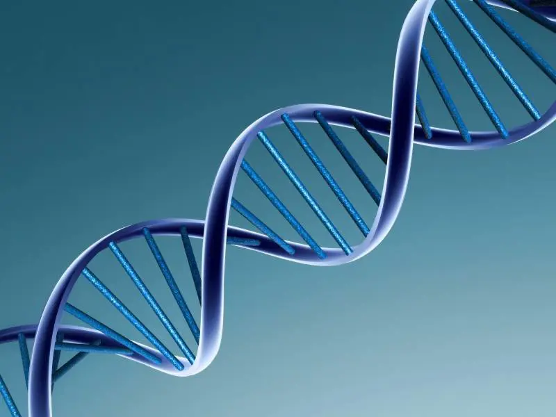 Il dilemma dei giudici Usa: si può brevettare il Dna?
