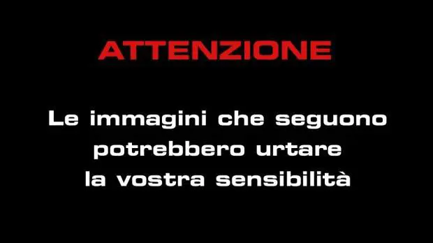 Immagine gallery