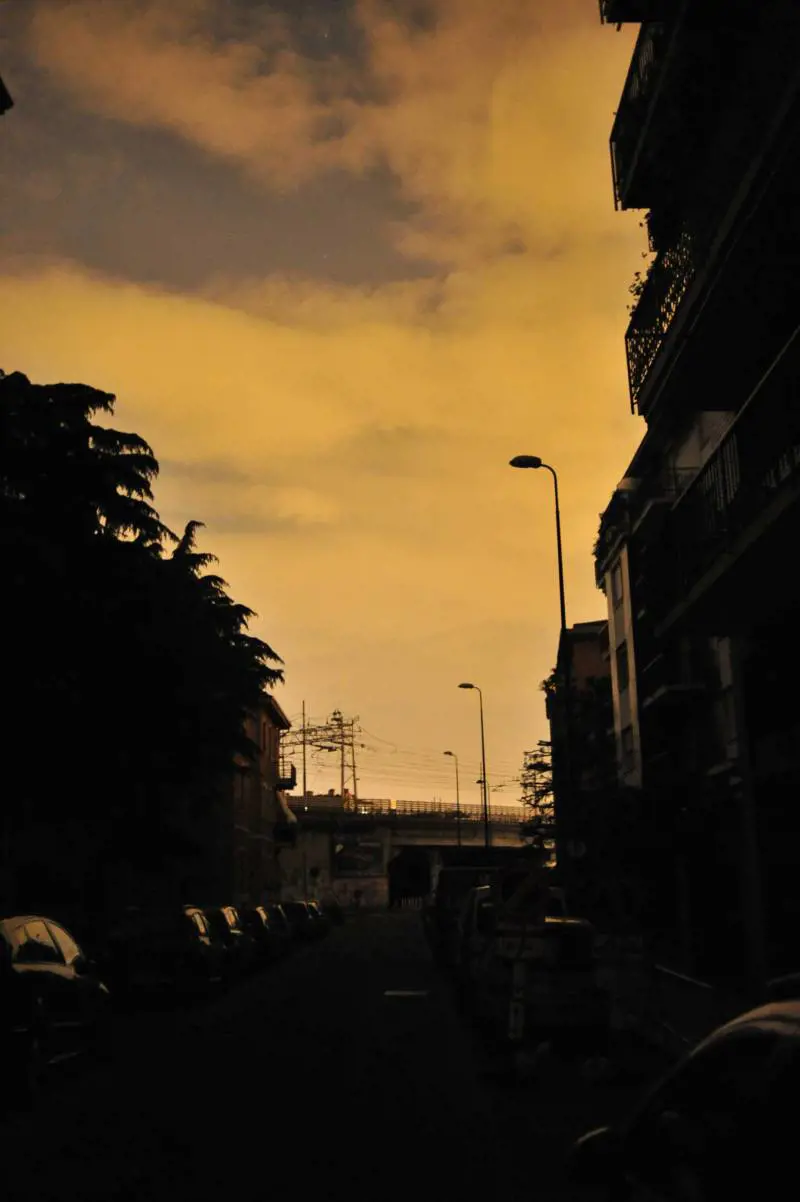Immagine gallery