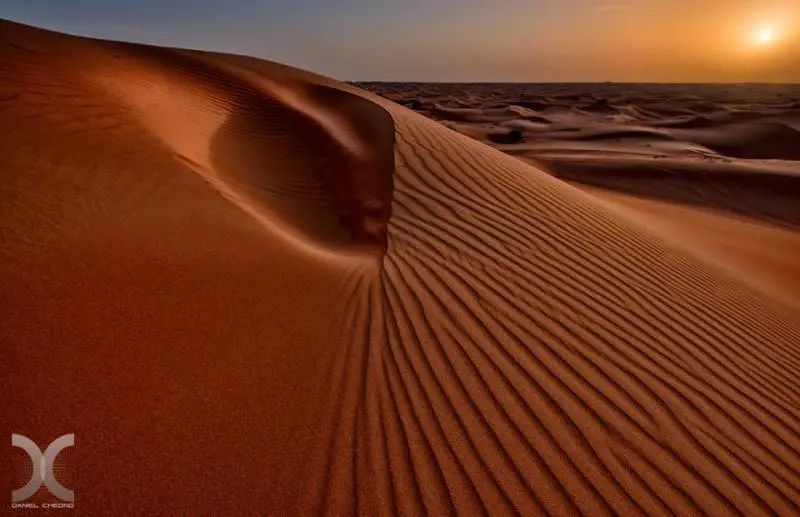 Immagine gallery