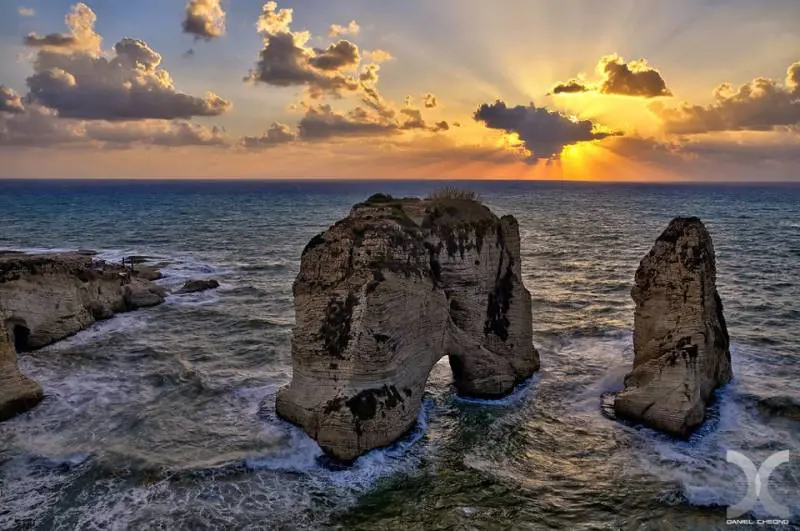 Immagine gallery