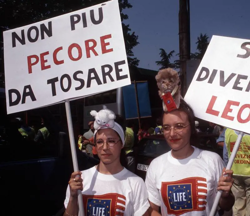 Le imprese a caccia dei debitori affossate dalla «trappola Monti»
