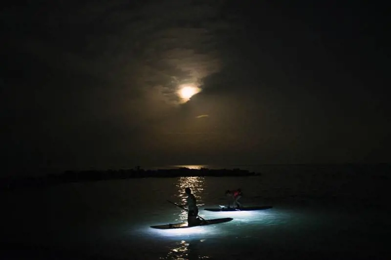 Immagine gallery