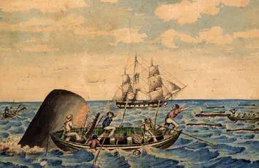 Da Giona alla Nasa Nel ventre della balena c'è il mondo intero