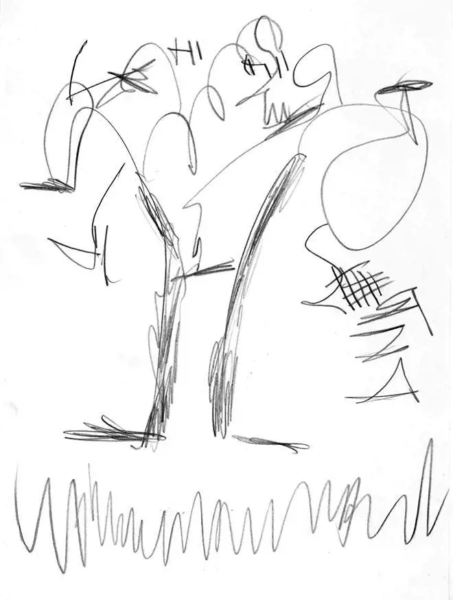 Immagine gallery