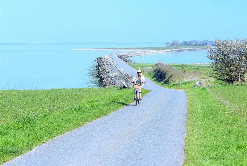 Le ricchezze dell'isola di Fiona: fiordi incantati e tanta natura