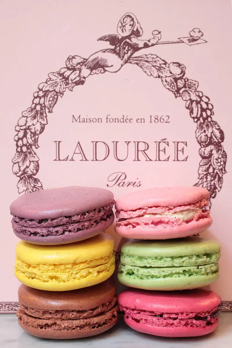 Lucca e Macaron: très chic!