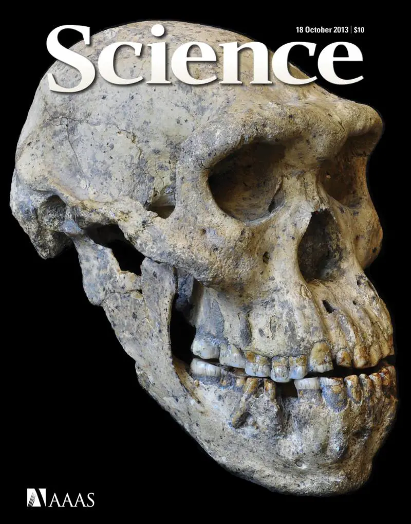 Sulla copertina di Science il teschio dell'ominide scoperto in Georgia