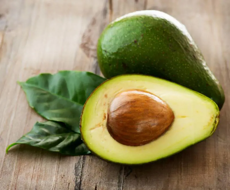 L'agricoltura accoglie prodotti "immigrati" Sì a mango e avocado