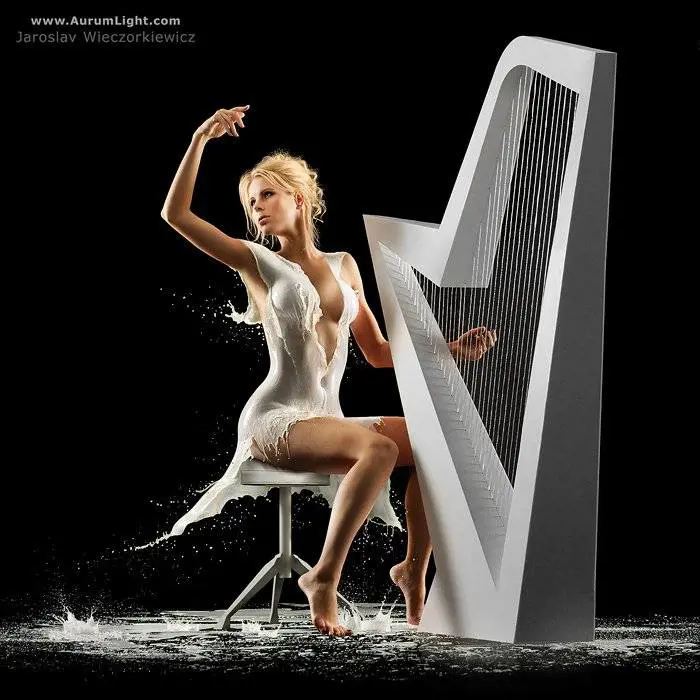 Immagine gallery