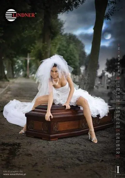 Immagine gallery