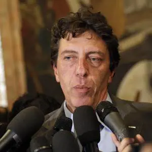 Maurizio Buccarella (M5S) ha votato Sì