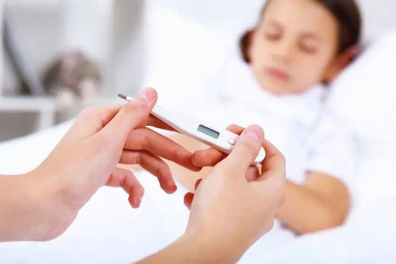 Isolato a Trieste il primo virus influenzale 