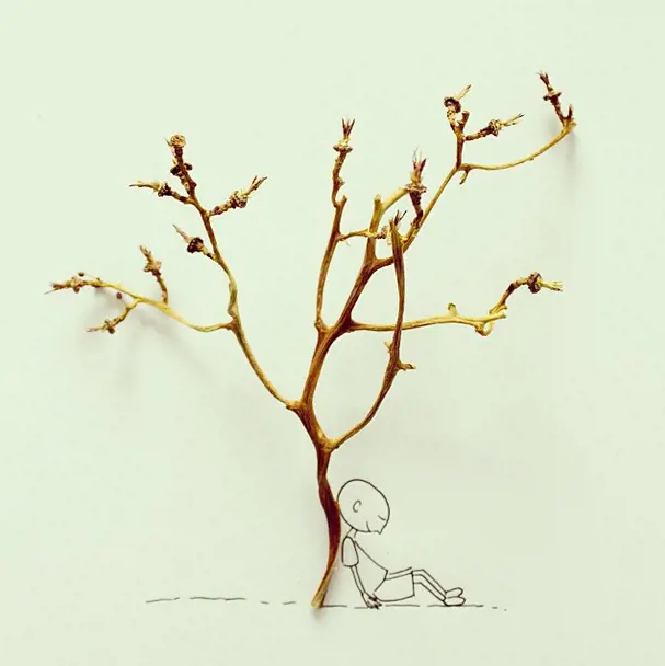 Immagine gallery