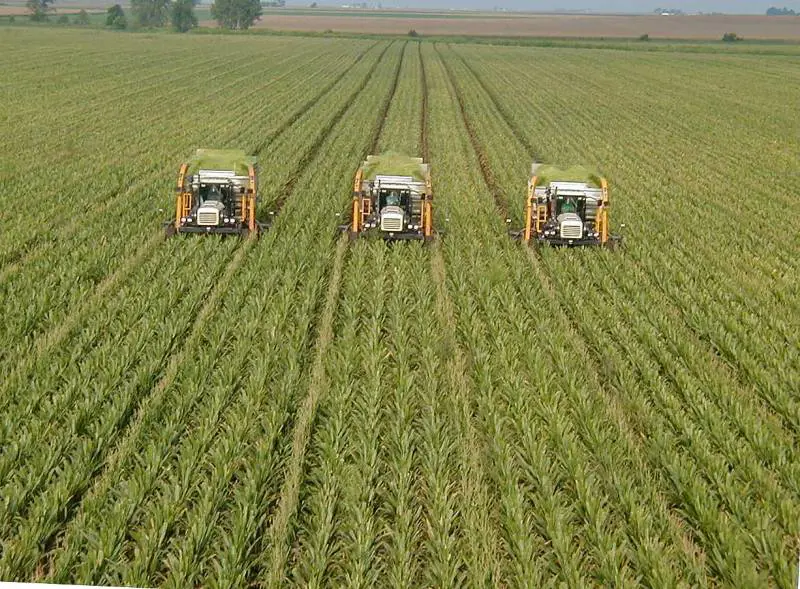 Così la burocrazia sta uccidendo l'agricoltura