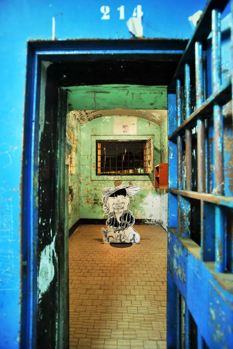 Immagine gallery