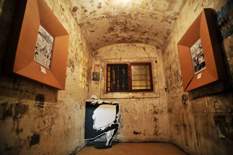 Immagine gallery