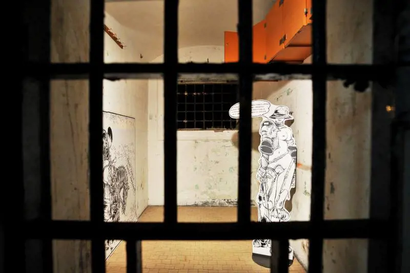 Immagine gallery