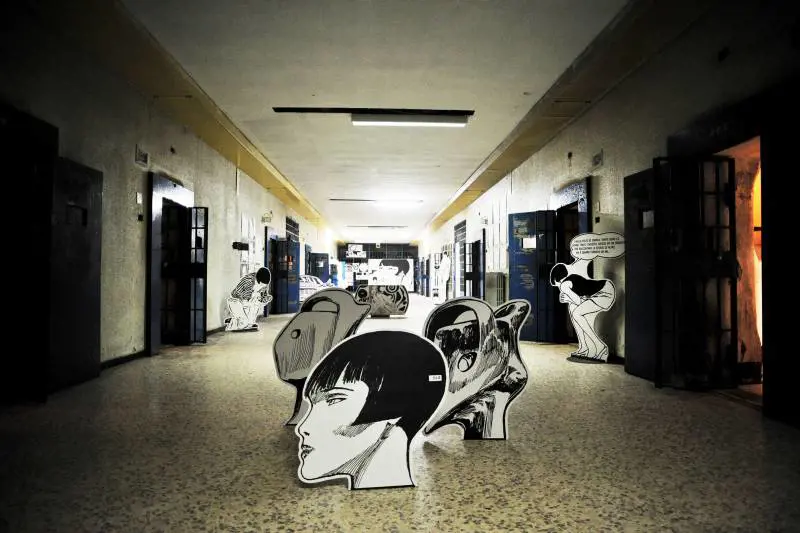 Immagine gallery