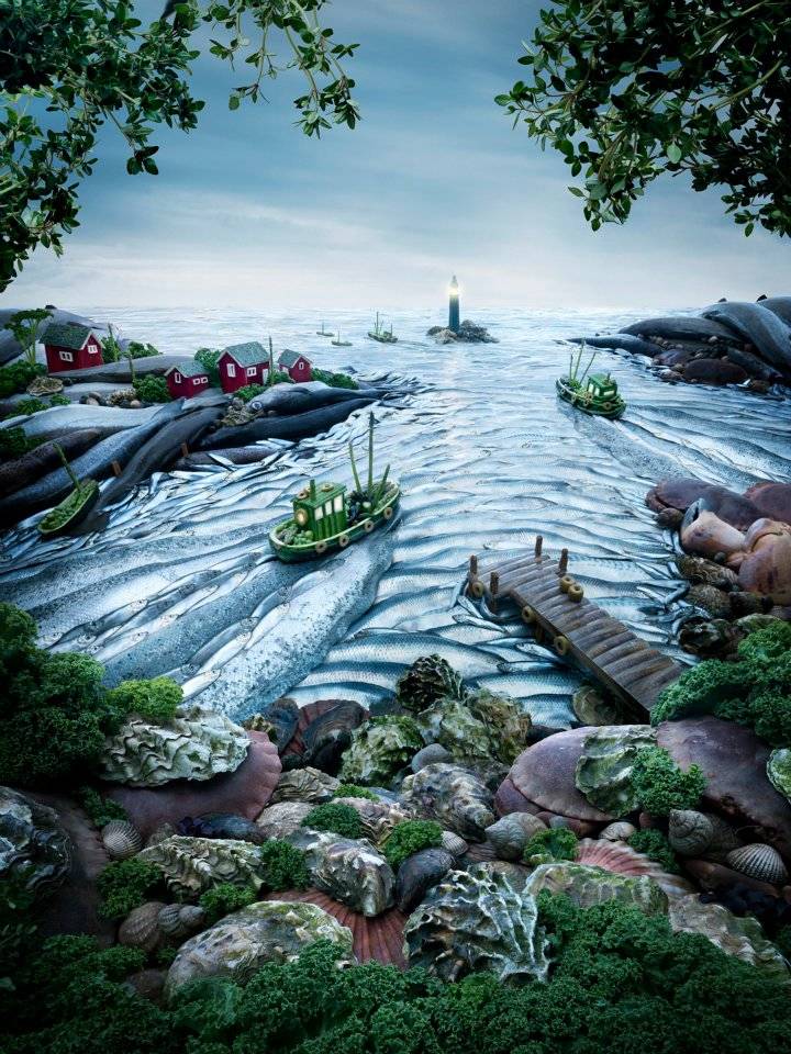 Immagine gallery