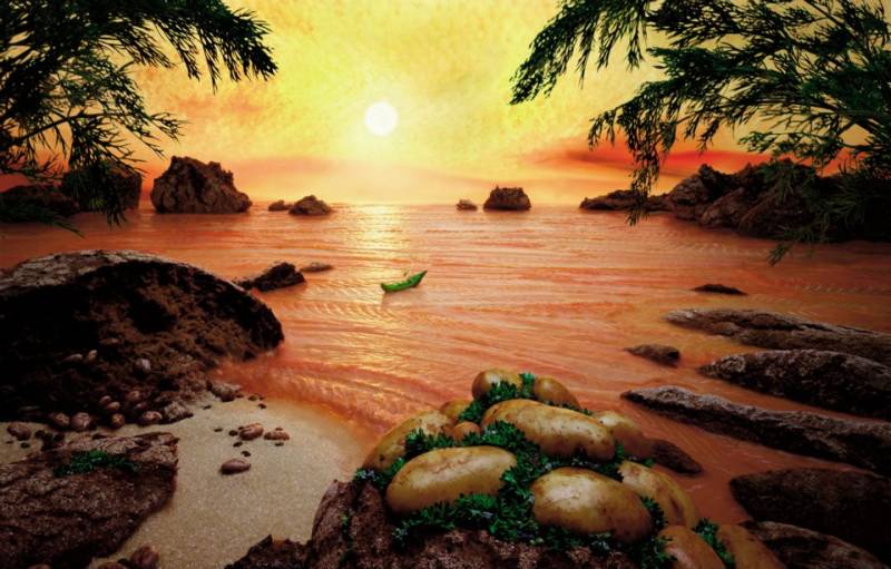Immagine gallery