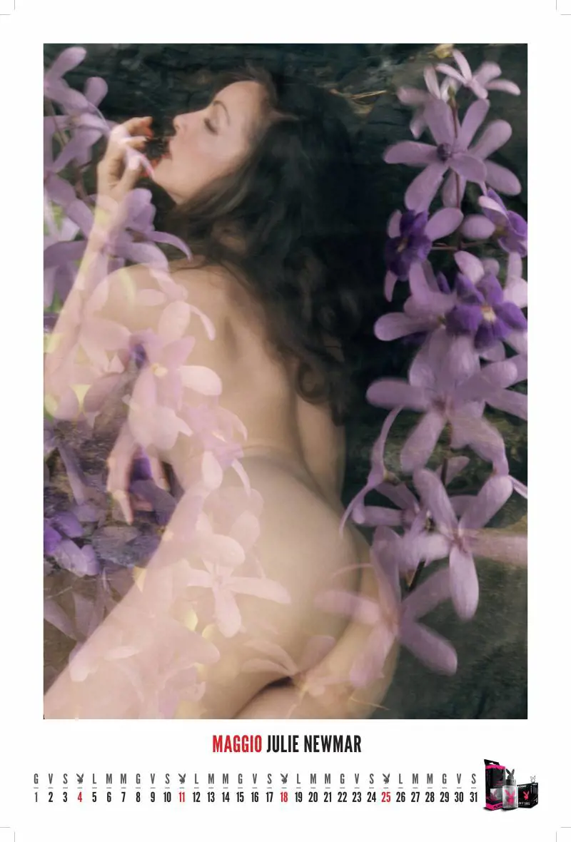 Immagine gallery