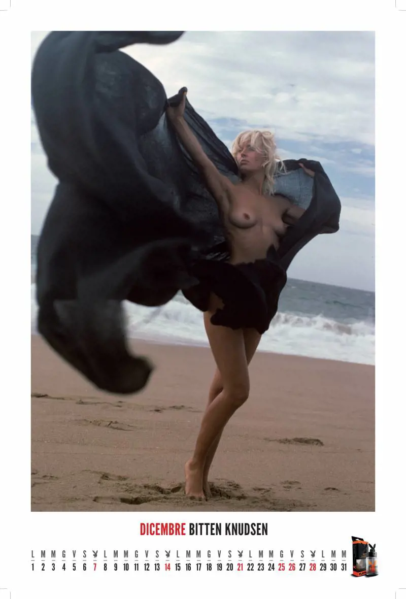 Immagine gallery