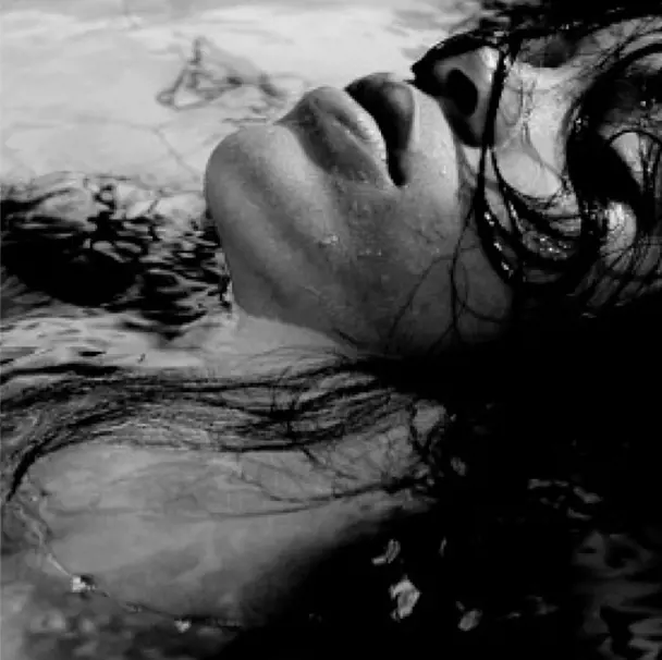 Immagine gallery