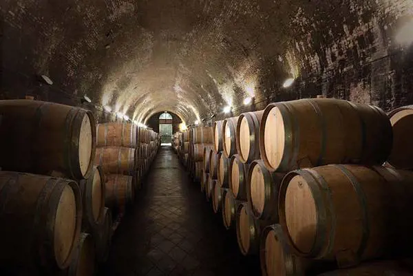 Spese pazze a Cambridge: 3 milioni di sterline in vini pregiati, mentre aumentano le rette