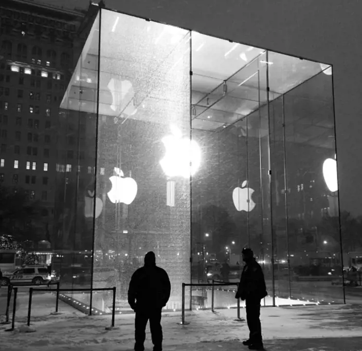 Immagine gallery