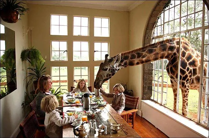 Giraffe Manor, Nairobi