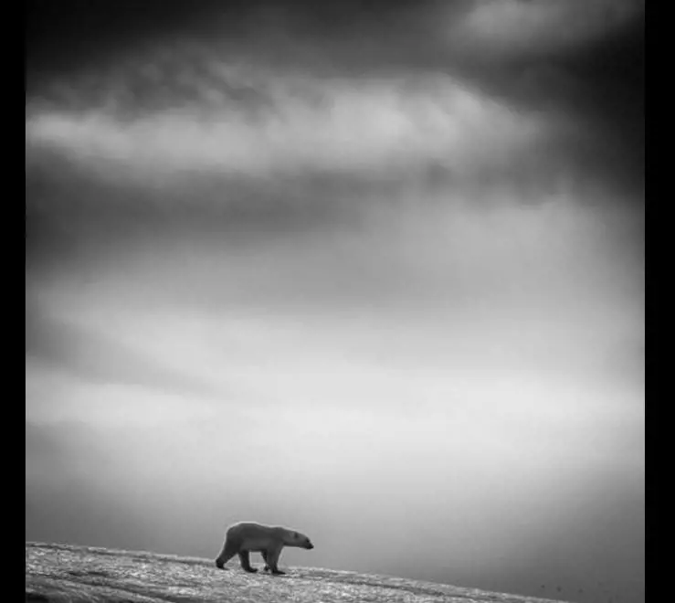 Autore: Wilfred Berthelsen 