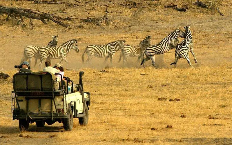 Arrivano i veicoli elettrici per fermare i bracconieri in Sudafrica