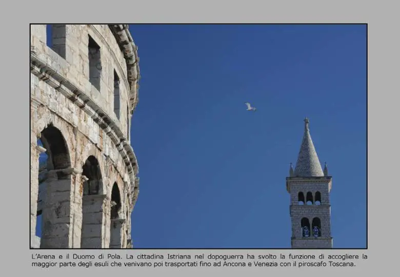 Immagine gallery