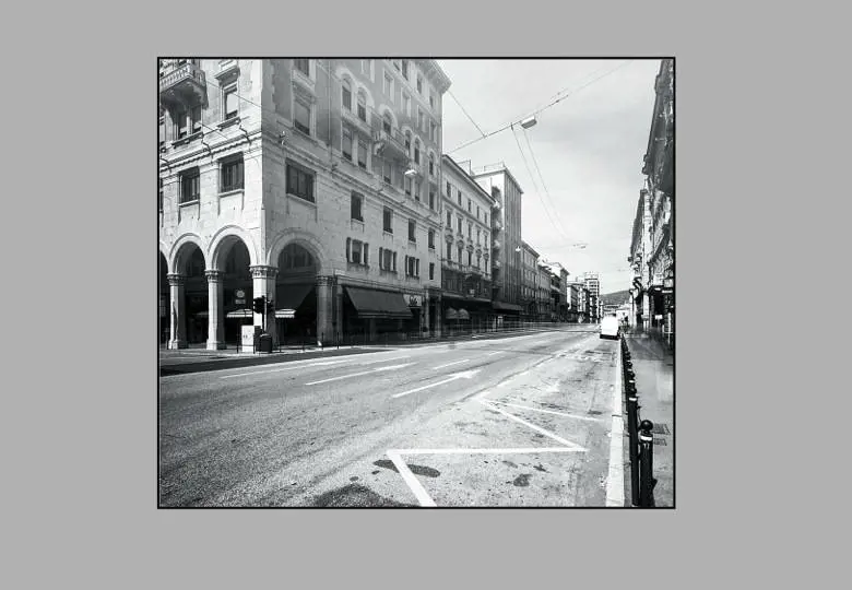 Immagine gallery