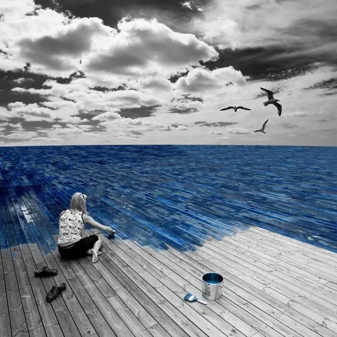Immagine gallery